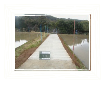 市道舗装補修工事