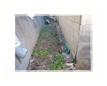 防草コンクリート工事前