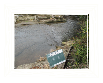 小規模ダム復旧工事前